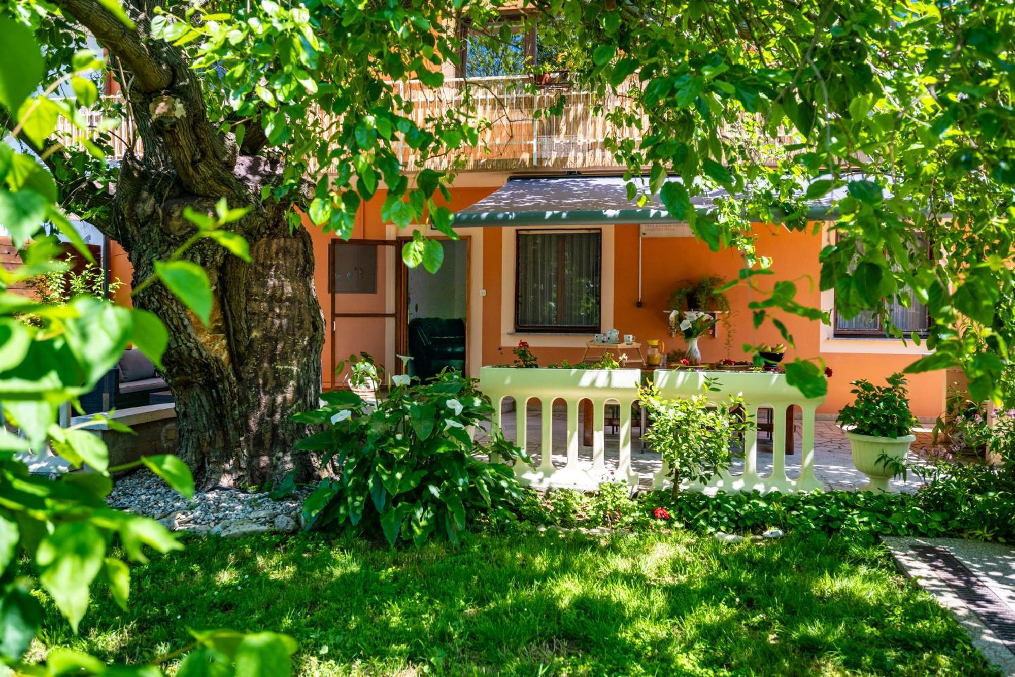 E-M Apartments With Private Pool Vinkuran Zewnętrze zdjęcie