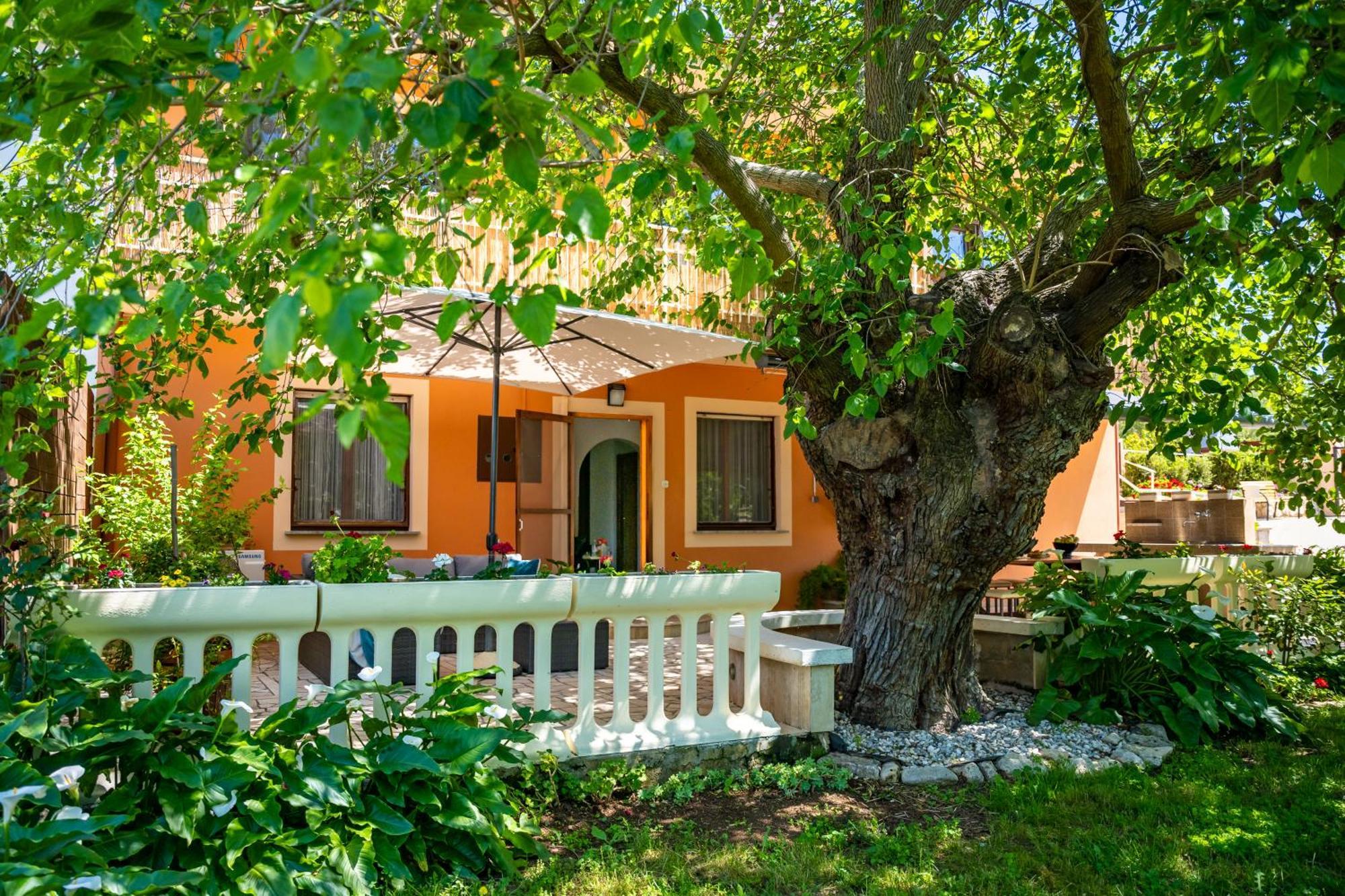 E-M Apartments With Private Pool Vinkuran Zewnętrze zdjęcie